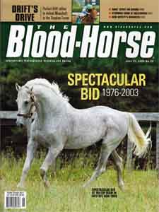 Spectacular Bid