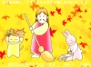 birthcard0511.gif