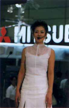 MITSUBISHI